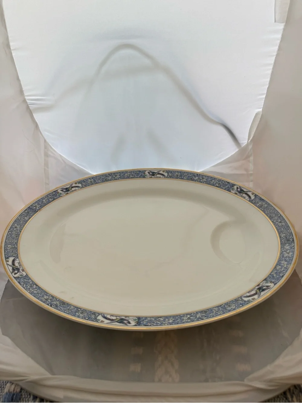 Antique Theodore Haviland Limoges France Oval Serving Platter “Rani”.
